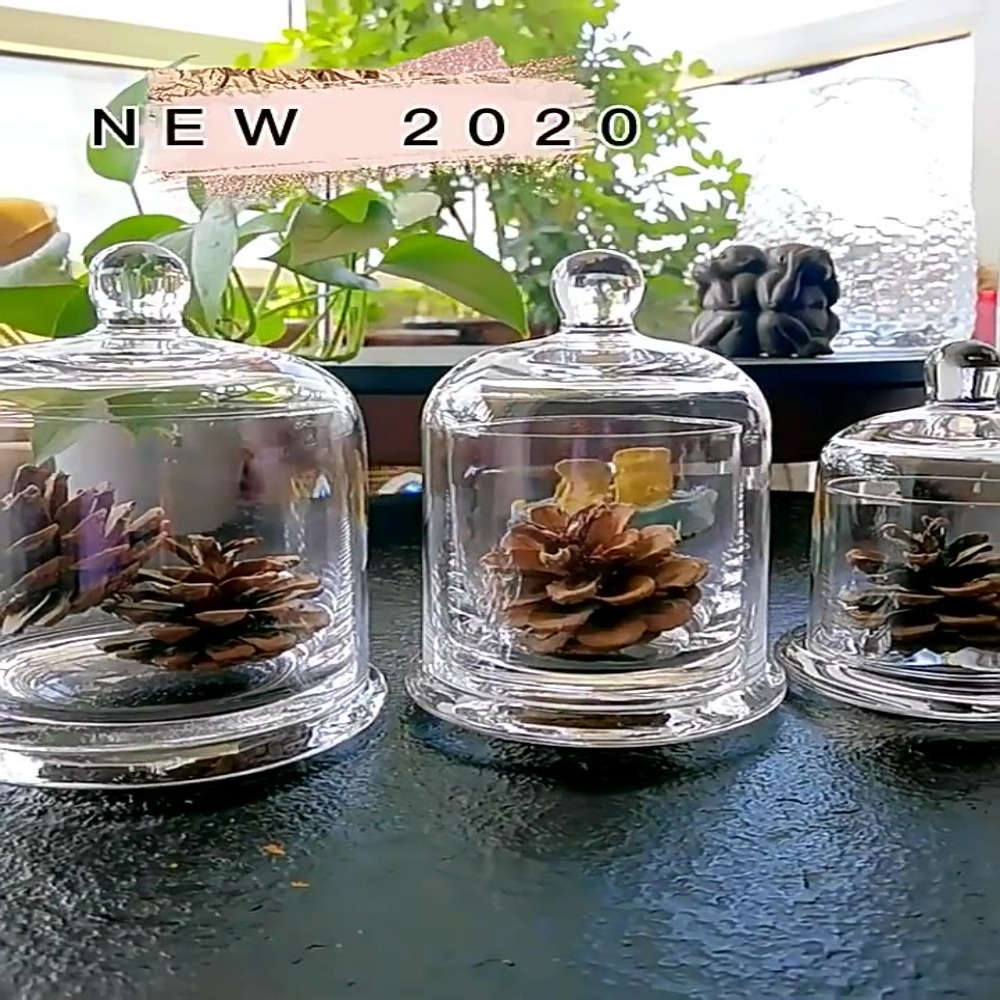Food Storage In Plants - Glass Glass Storage Jar Eternal Life