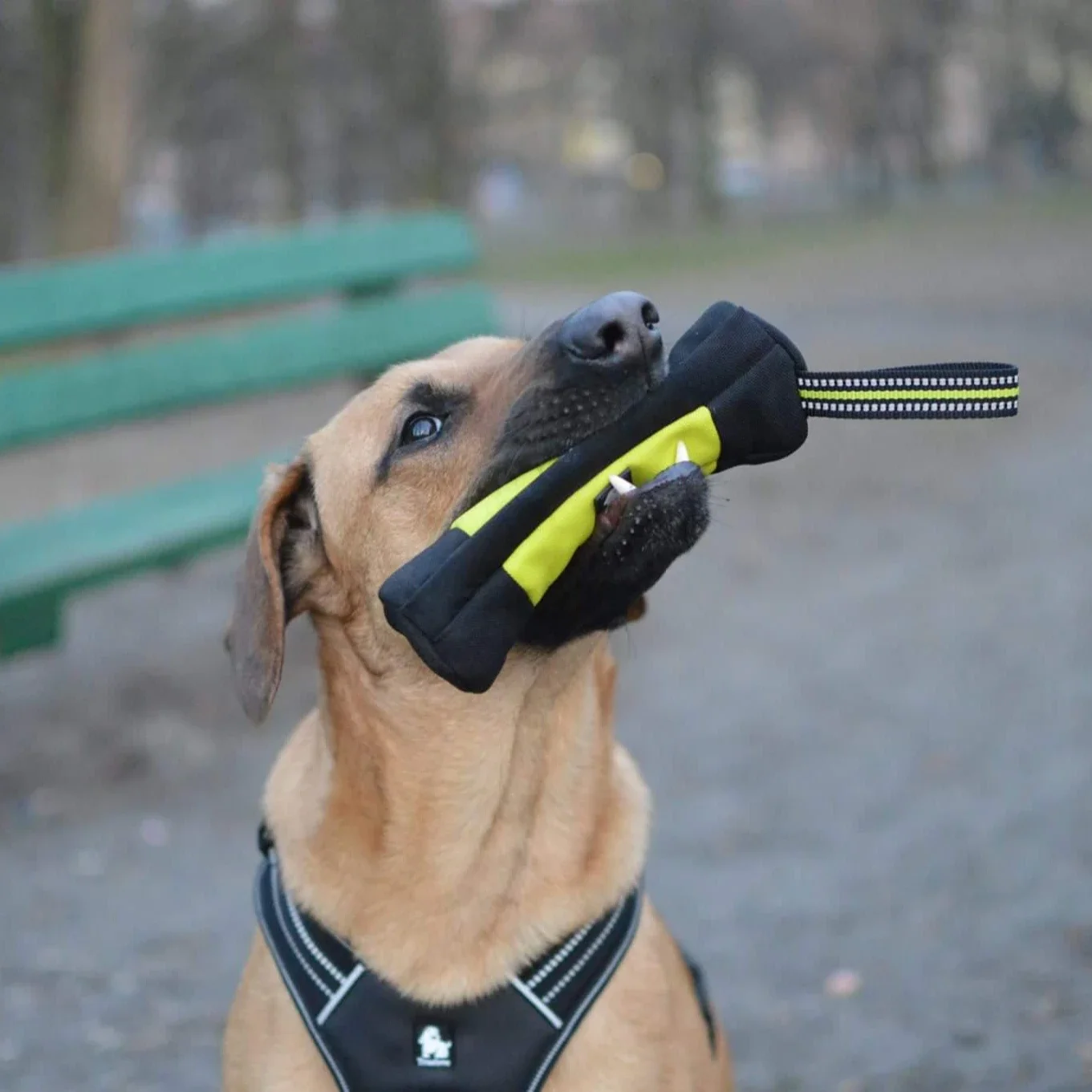 Truelove Dog Training Retrieve - огляд і ціна Food Storage Zipper