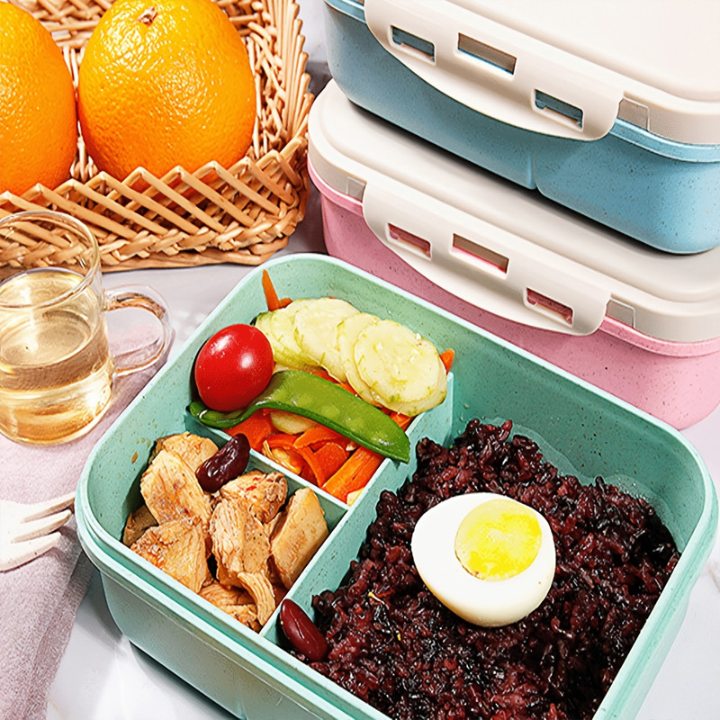 Sprunkis Series Portable Bento - огляд і ціна Food Storage Vault